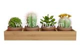 Bamboo Rectangular Planter Box / Four-sectioned Tray for Succulents, Herbs And Flowers